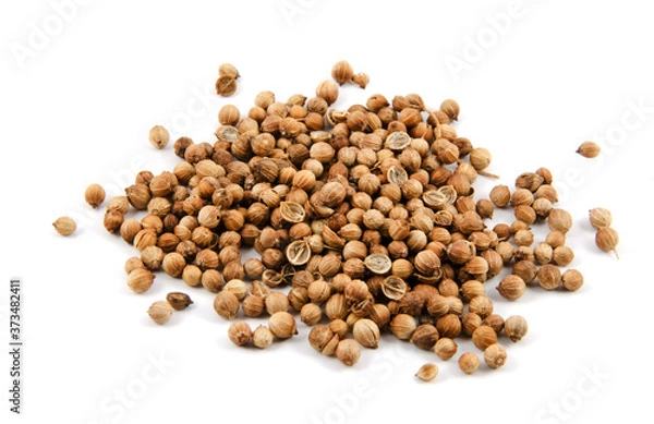 Obraz Coriander