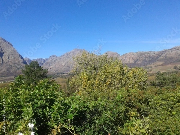 Fototapeta Looking up to the Mountains 