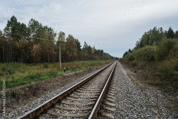 Fototapeta old railway in forest on cloudy autumn