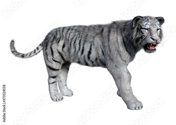 Obraz 3D Rendering White Tiger on White