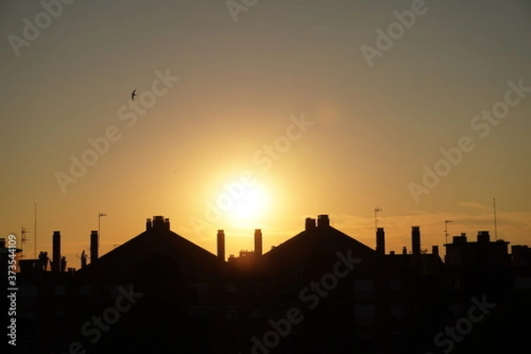 Obraz sunset over the city