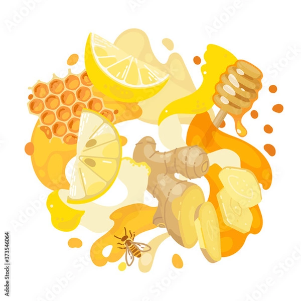 Obraz Lemon, ginger and honey on abstract background. Vector illustration