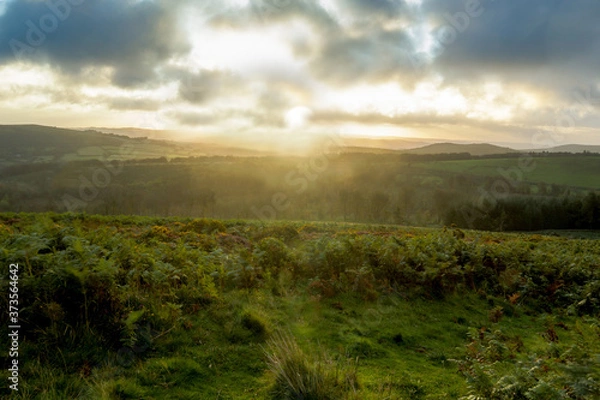 Obraz sunrise over the field