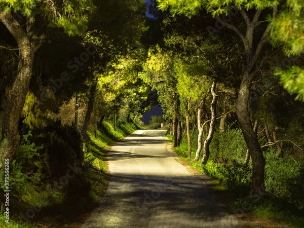 Obraz Amazing Greece, charming Athens.