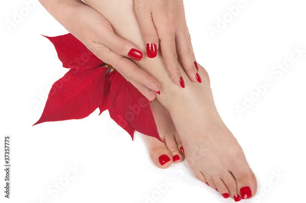 Fototapeta Christmas Spa