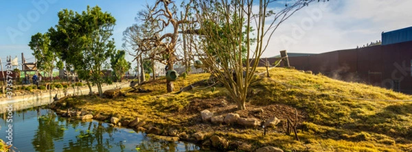 Obraz Zoo Grass land