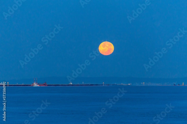 Obraz 早朝の大阪港に沈む満月