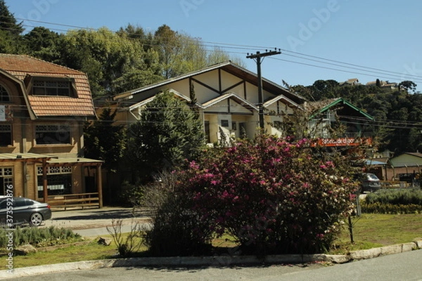 Obraz house with flowers