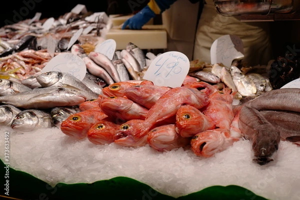 Obraz 新鮮な魚たち