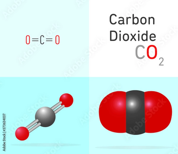 Fototapeta Carbon Dioxide (CO2) gas molecule. Two different molecule model and chemical formula. Ball, stick and Space filling model. Structural Chemical Formula and Molecule Model. Chemistry Education
