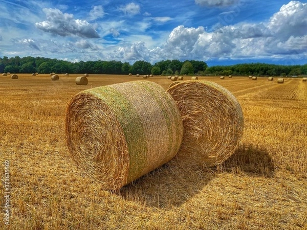 Fototapeta Rundballen