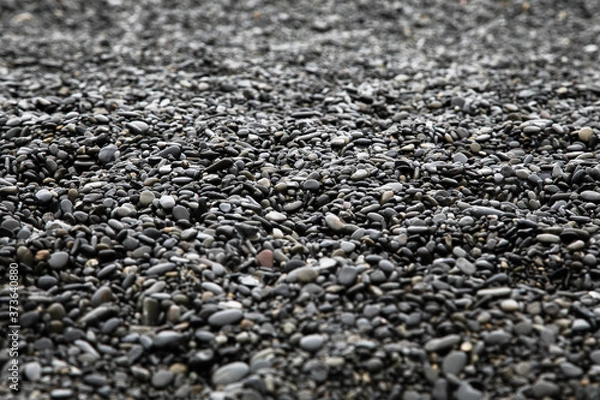 Obraz 濡れた小石　海岸　