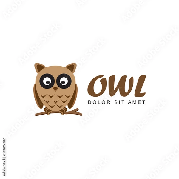 Obraz owl logo template design vector