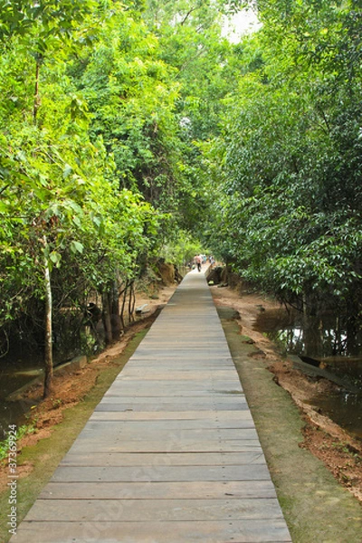 Obraz wooden path