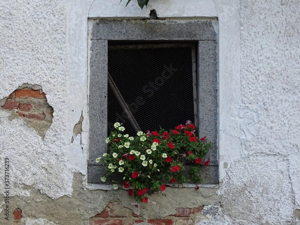 Obraz the window