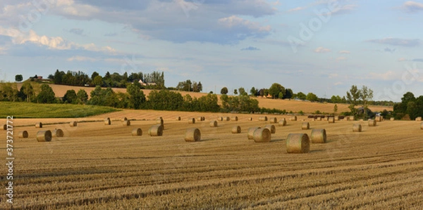 Obraz Strohballen auf dem Feld
