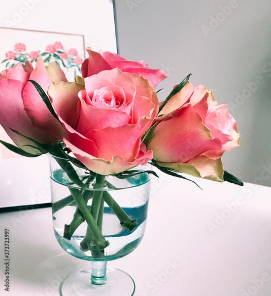 Fototapeta Roses