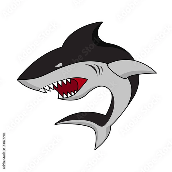 Obraz angry shark illustration 