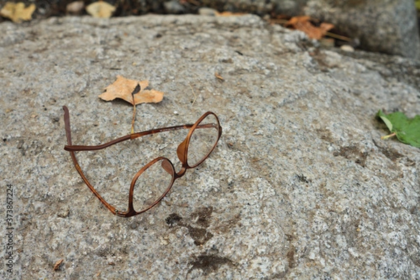 Obraz glasses on a stone