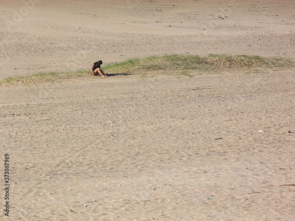 Fototapeta Alone over a grass patch in the sand