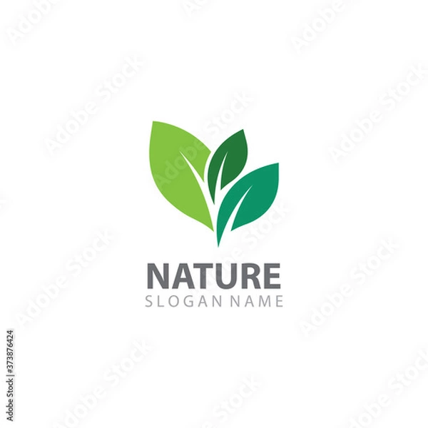 Obraz Creative Leaf Nature Logo Design Template Vector