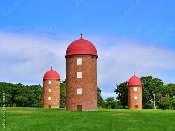 Obraz 根室市明治公園