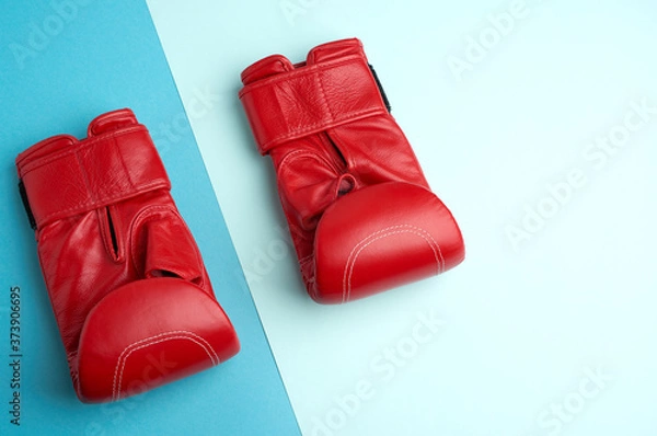Fototapeta pair of red leather boxing gloves on a blue background