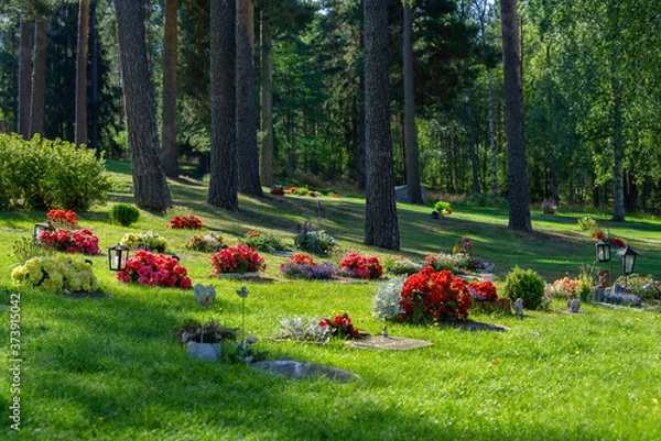 Fototapeta Rows of graves with beautiful and colorful flowers in sunlight