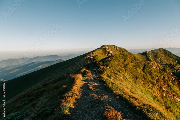 Obraz Amazing sunset in the wild ukrainian ridge Marmarosy, near Romania