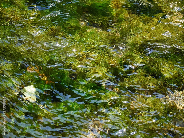 Obraz 透明感あふれる水路の水