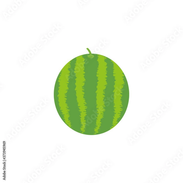 Obraz This is a collection of watermelon on white background.