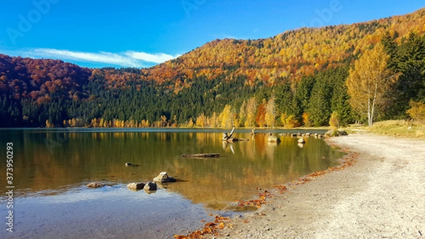 Obraz Herbstwald am See