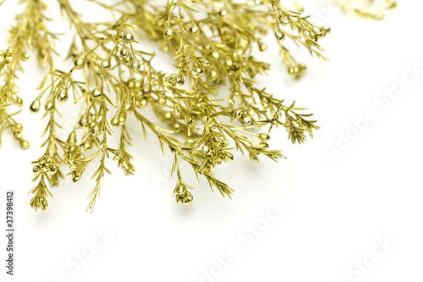 Fototapeta Christmas branch.