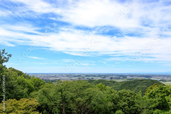 Fototapeta 山から見た景色