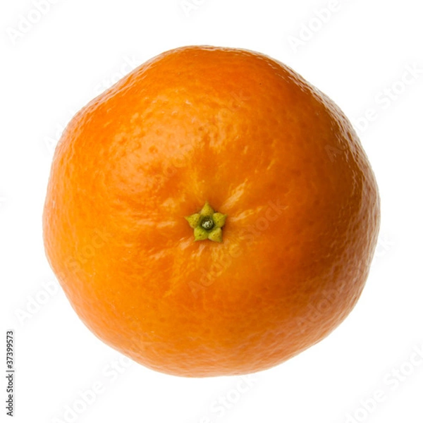 Obraz Clementine from top