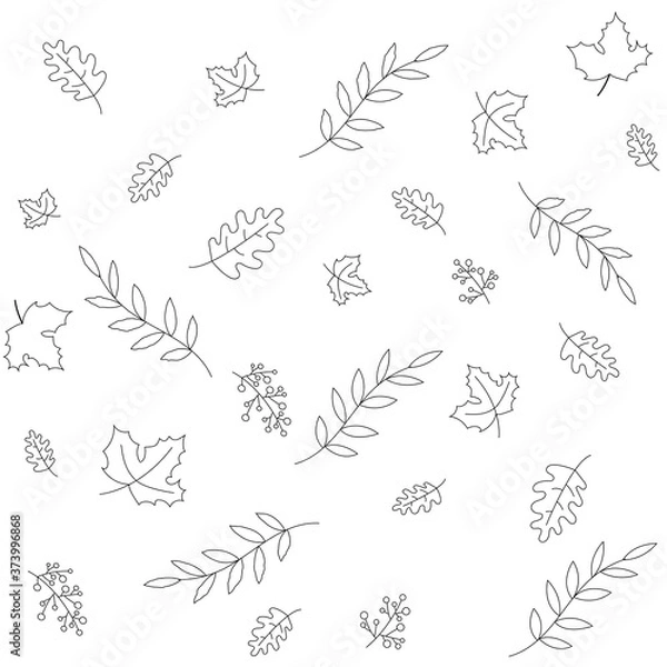 Fototapeta Autumn leaves seamless pattern. Floral pattern with maple leaves, oak, ash berry, tropical list. Black and white vector illustration. Line art pattern for wrapping paper, fabric, print, textile