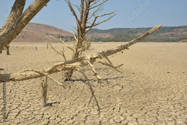 Obraz dry land, climate change
