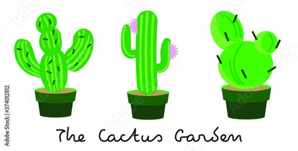 Fototapeta Cactus in pot 