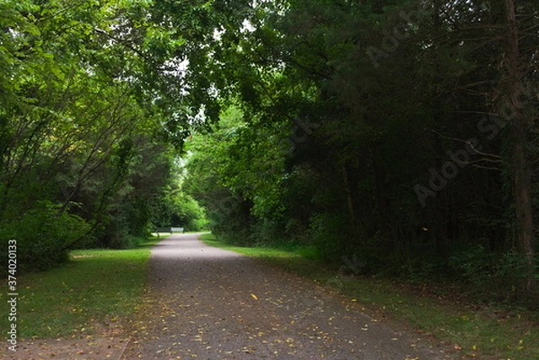 Fototapeta Camino al cielo