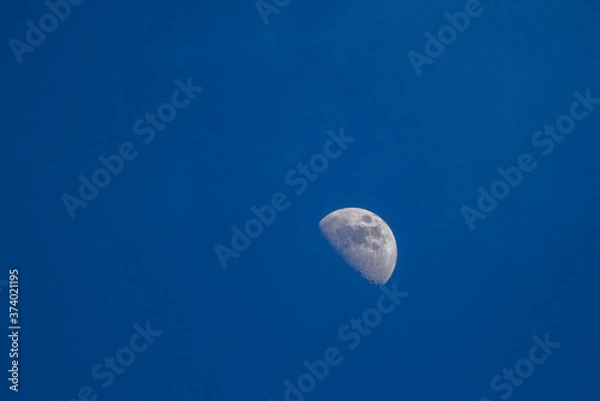 Obraz moon in the night