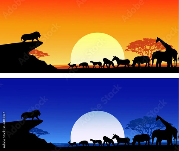 Obraz Safari background silhouette