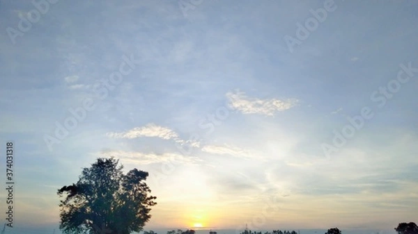 Obraz sunset in the forest