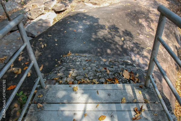 Obraz Walkway stone path in forest  by vegetation