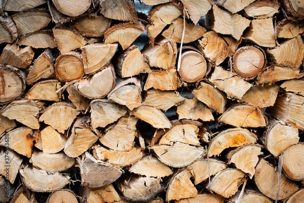 Obraz Winter cut wood pile drying outside 