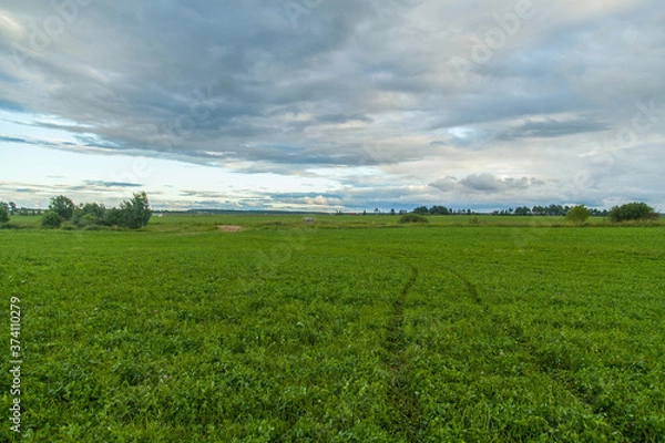 Obraz Car traces in spring green field