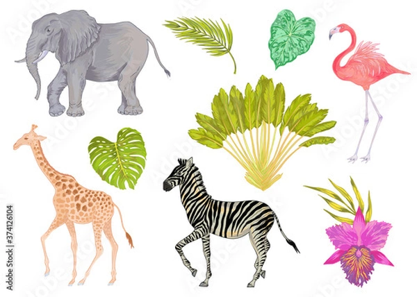 Fototapeta Vector cute realistic illustration of zebra, elephant, flamingo and giraffe with flowers and leaves