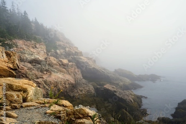 Obraz New England Coast in Early Morning with Fog and Mist - Maine