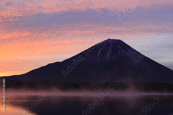 Obraz Mt.Fuji in Morning Glow
