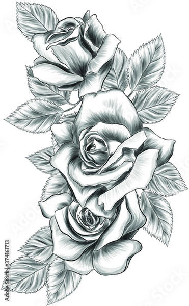 Fototapeta bouquet of roses and leaves to create composition pattern flowers vector illustration