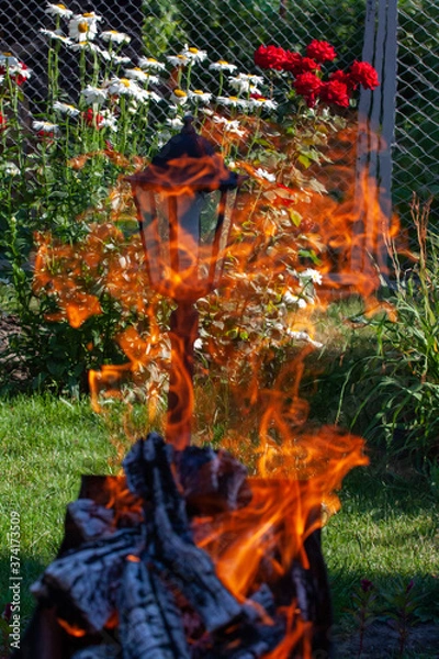 Obraz Safe fire in nature.